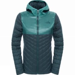 The North Face Women's ThermoBall Plus Hoodie Darkest Spruce / Deep Sea